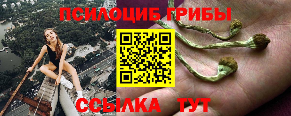 Галлюциногенные грибы мухоморы Лысьва